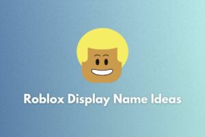 150+ Best Roblox Display Name Ideas